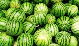 攻略吃瓜,轻松解锁美食与娱乐的双重享受