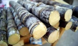 哈密瓜当甘蔗吃,当甘蔗新宠