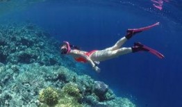 吃瓜小熊潜水视频,吃瓜小熊的潜水探险记