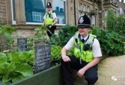 清风小镇东营吃瓜,瓜果飘香，夏日消暑好去处