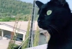 梦见吃瓜吵架,吃瓜吵架背后的心理寓意