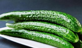 赢了吃瓜输了买瓜温州,赢了吃瓜输了买瓜，揭秘瓜界风云