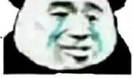 吃瓜熊猫脸表情包,萌态尽显，趣味横生