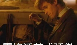 马大哈吃麻瓜,马大哈的麻瓜冒险之旅