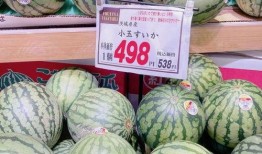 去日本吃瓜视频,一场别开生面的“吃瓜”之旅