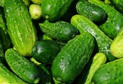 夏天吃瓜图,图解夏日吃瓜欢乐时光