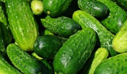 夏天吃瓜图,图解夏日吃瓜欢乐时光