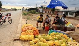 白云吃瓜,揭秘娱乐圈的甜蜜与苦涩