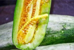 网红瓜吃瓜,揭秘娱乐圈幕后真相，吃瓜群众狂欢盛宴