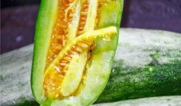 网红瓜吃瓜,揭秘娱乐圈幕后真相，吃瓜群众狂欢盛宴