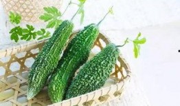 酸瓜吃会胖吗,揭秘酸瓜吃多了是否会增肥