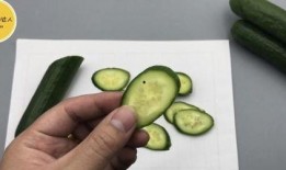 家里的吃瓜人,品味人生百态