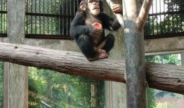 小自由吃瓜基地