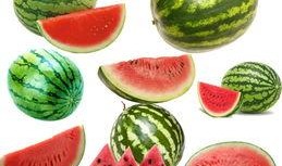 51吃瓜南,揭秘娱乐圈背后的那些事儿