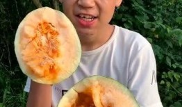 吃货性可以吃哈密瓜