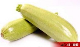 吃南瓜能吃茭瓜吗,能否共享餐桌？