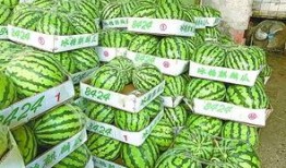 武软吃瓜,揭秘吃瓜群众的狂欢盛宴