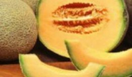 哈密瓜衣怎么吃,哈密瓜衣的多样食用方法