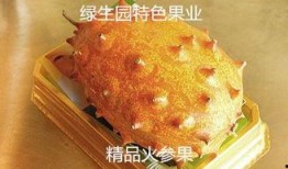 蜜瓜怎么吃最减肥,轻松享“瘦”的夏日美味选择