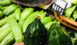 梦见准备买黄瓜吃瓜,揭秘买黄瓜吃瓜的神秘寓意