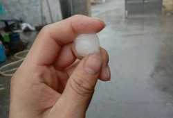 瓜沥吃冰,冰爽美食之旅