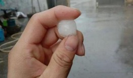 瓜沥吃冰,冰爽美食之旅