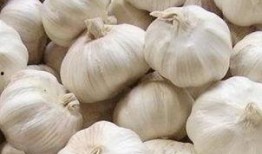 大蒜涛吃瓜,揭秘娱乐圈背后的那些事儿