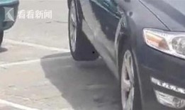 开车女的吃瓜视频,揭秘开车途中趣味瞬间