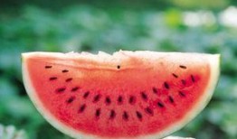 夏天吃瓜图,图解夏日吃瓜欢乐时光