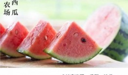 表白99次吃瓜,一场甜蜜的吃瓜盛宴