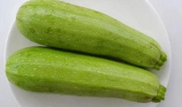 秋季必吃三瓜,必吃三瓜，健康美味两不误