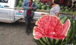 晋城吃瓜群众,揭秘本地热门事件背后的真相