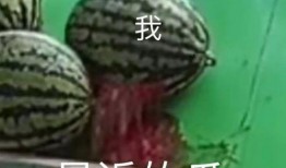 吃瓜人的速度,揭秘吃瓜人的惊人速度