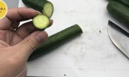 家里的吃瓜人,品味人生百态