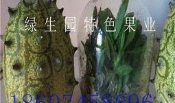 蜜瓜怎么吃最减肥,轻松享“瘦”的夏日美味选择