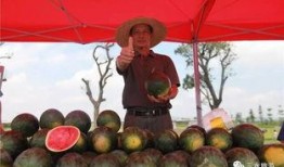 雪雪吃瓜,揭秘娱乐圈那些不为人知的幕后故事