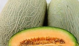 口臭吃哈密瓜好吗,缓解口臭的天然良方