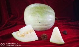 三白瓜咋吃视频,视频教你轻松上手