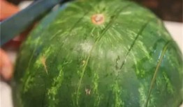 吃瓜群众会切瓜吗,瓜果切割技巧大揭秘