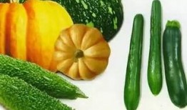 吃瓜老图,一场视觉盛宴背后的故事