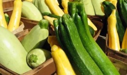 平台吃瓜现状,揭秘当代社交平台上的“瓜田”现象