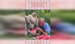 熊在吃瓜,一场自然界的悠闲午后