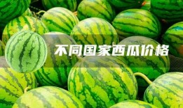 赢了吃瓜输了买瓜温州,赢了吃瓜输了买瓜，揭秘瓜界风云