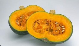 吃南瓜能吃茭瓜吗,能否共享餐桌？