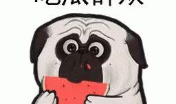 吃瓜的大胖,揭秘娱乐圈那些不为人知的幕后故事