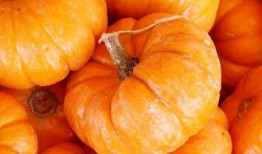 吃南瓜能吃茭瓜吗,能否共享餐桌？