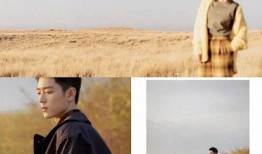 邓伦综艺吃瓜群众,趣味互动引网友热议