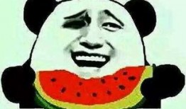 吃瓜群众会切瓜吗,瓜果切割技巧大揭秘