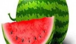 蒙瓜吃会胖吗,吃蒙瓜真的会胖吗？