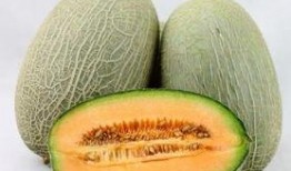 吃酸菜能吃哈密瓜吗,跨界美食的奇妙碰撞